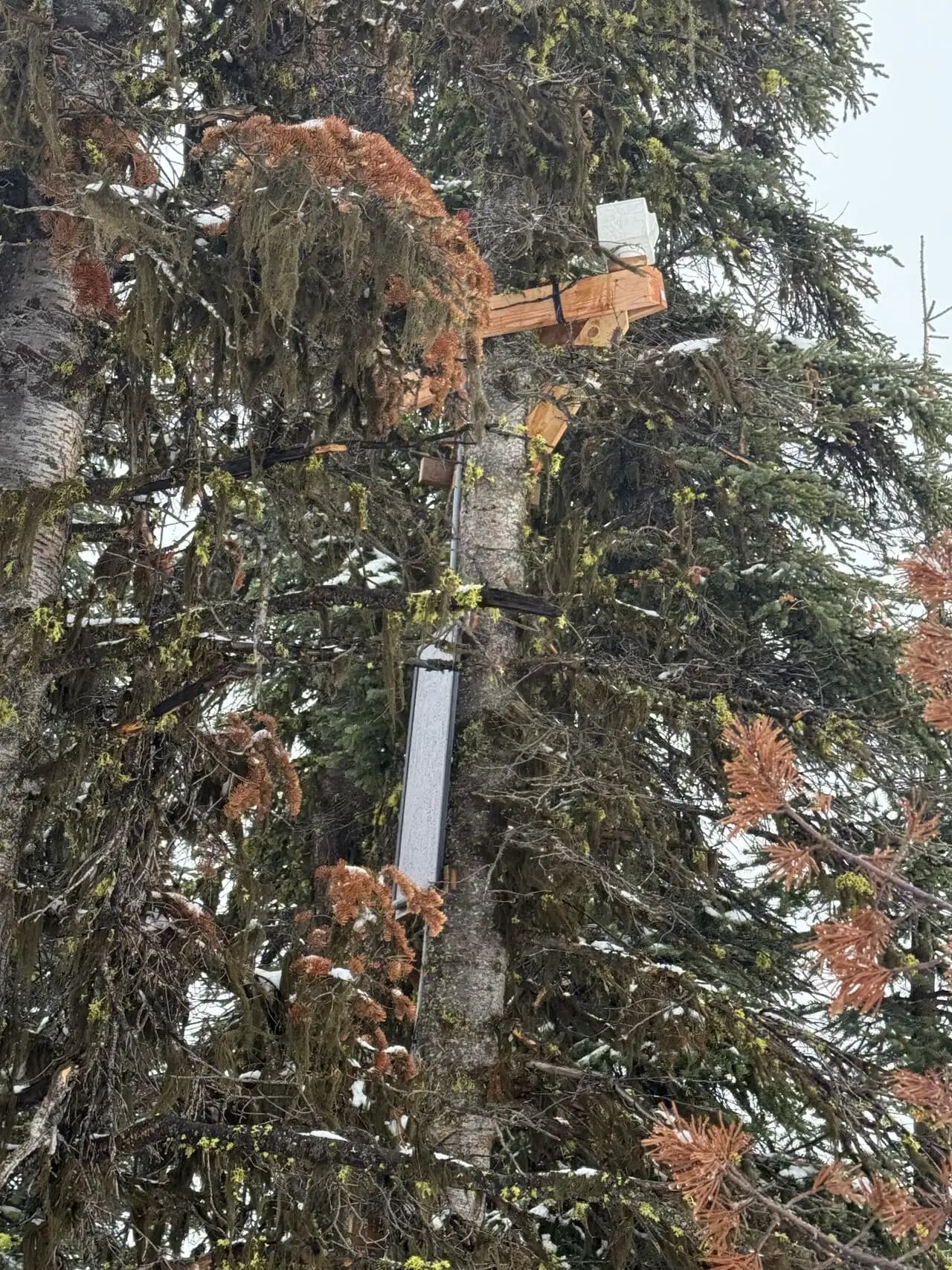 Mt. Hood field deployment