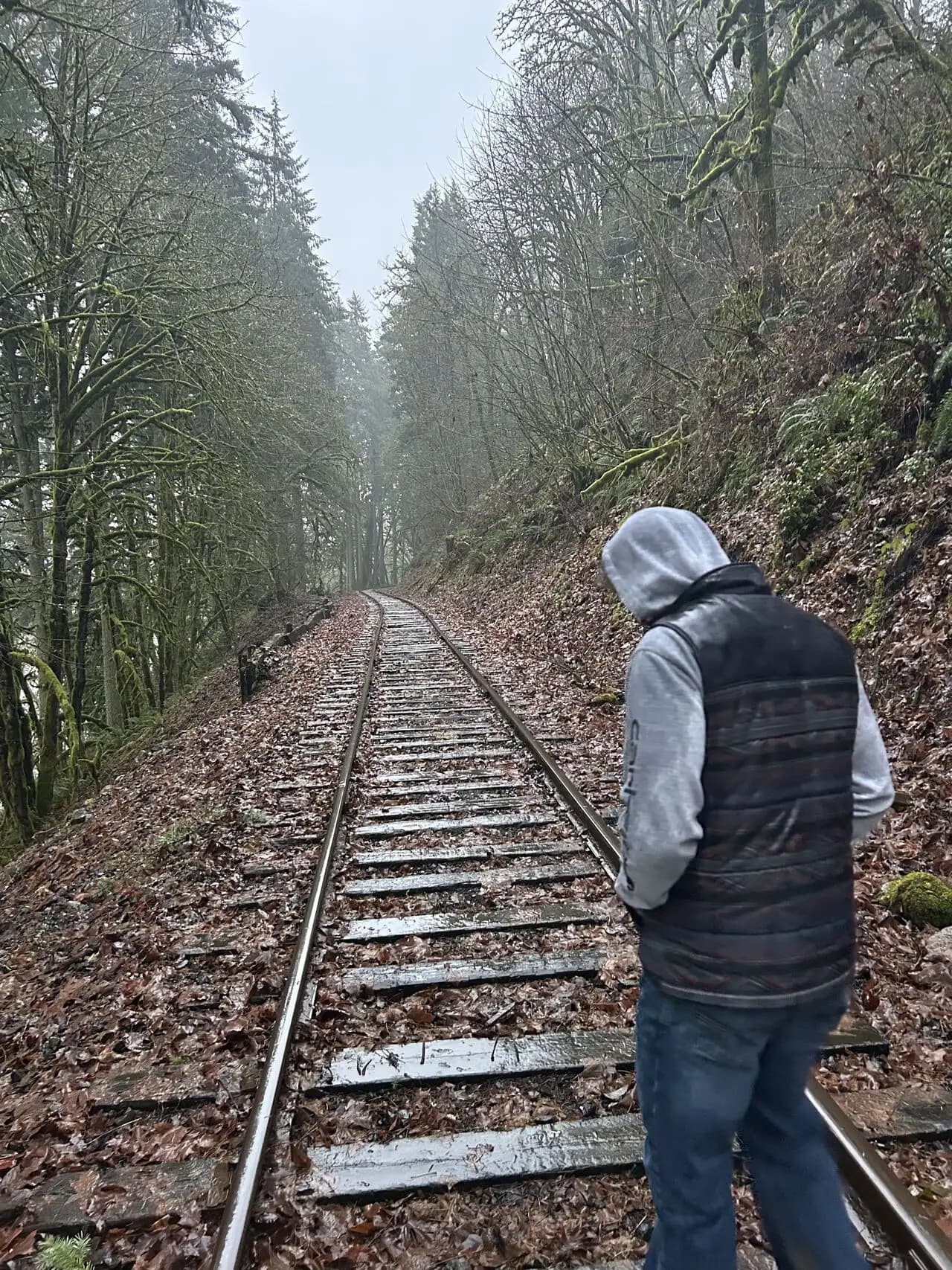 Model calibration results